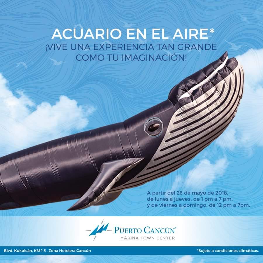 PuertoCancunMTC's tweet image. 🐋🐡 Visítanos y disfruta del primer acuario en el aire con papalotes de hasta 65 mts  🐋🐙 
👉 ÚLTIMOS DÍAS
#Cancun #QRoo

* Sujeto a condiciones climáticas