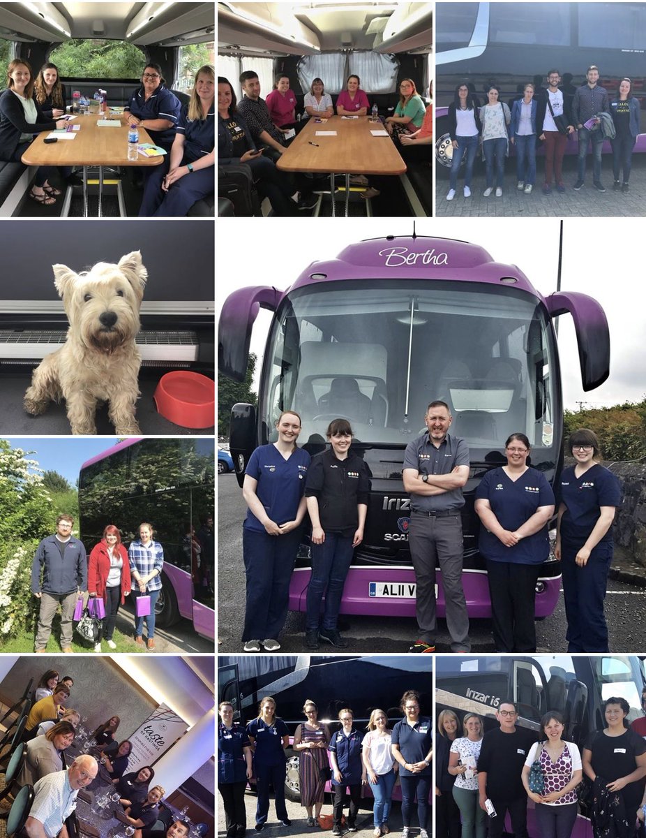 OnswitchLtd's tweet image. #Bertha just in case you were wondering who or what #Bertha is 
Awesome touring purple luxury coach converted to training rooms 
We are somewhere every day &amp;amp; we come to you #First4 #PrivateDay. onswitch.co.uk/training/ 
#OneVetTeam #CPD #happy #values #respect #team