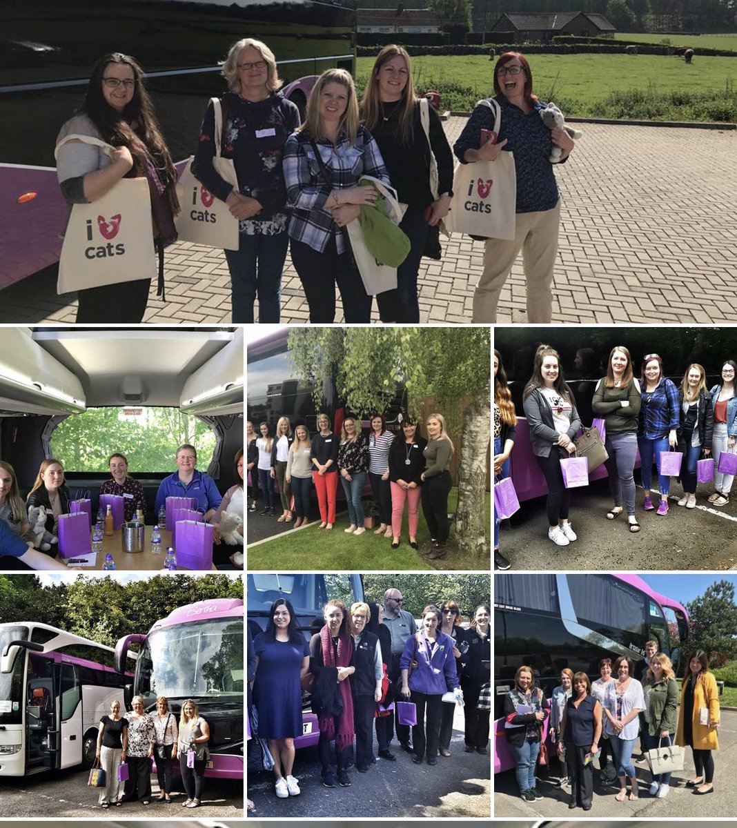 OnswitchLtd's tweet image. #Bertha just in case you were wondering who or what #Bertha is 
Awesome touring purple luxury coach converted to training rooms 
We are somewhere every day &amp;amp; we come to you #First4 #PrivateDay. onswitch.co.uk/training/ 
#OneVetTeam #CPD #happy #values #respect #team