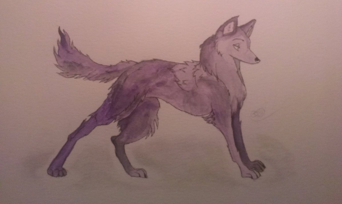 Louloup_Bleue's tweet photo. Voici donc la louve finale!

#Drawing #VioletWolf #painting https://t.co/RW5NOflbs8