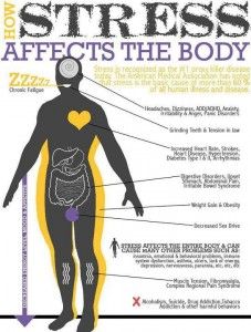 DrJasonWilliams's tweet photo. Halfway through the week, yay for everyone rocking their week! Keep your stress low and your body health--schedule an appointment today at 512-814-1018 https://t.co/8f7eWDwghM