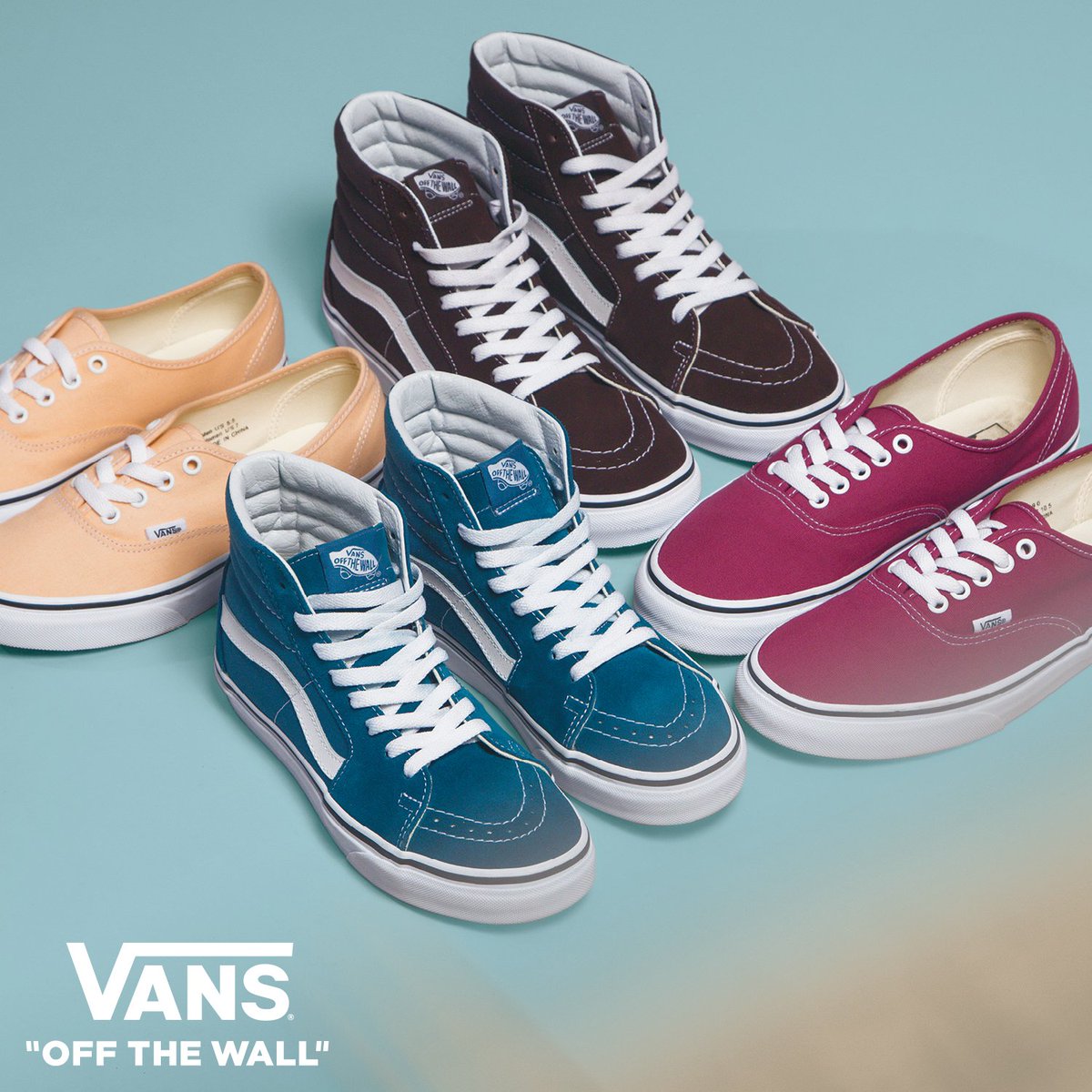 vans price at sportscene