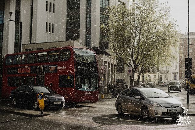 ivgorosito's tweet photo. Hoy llueve y es un dia feliz. Igual que aquel día en Londres, encontrándonos con la magia del sol entre la lluvia, los autos y los arco iris. 
Luis diria que la lluvia borra la maldad y lava todas las heridas de tu alma. 
Que asi sea. 💚

#thisislondo… https://t.co/PnvHrNLAj4 https://t.co/5Kt4BHepjF
