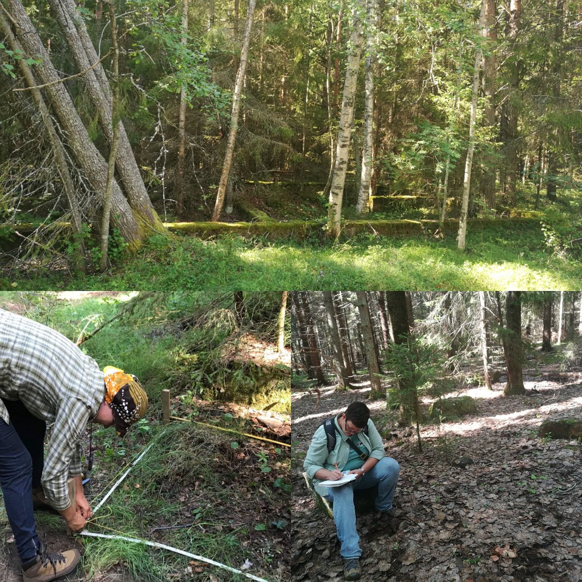 tiina_aikas's tweet image. Today we started the fielwork at the #houseremains on Varjakka mainland. #industrialarchaeology #testpit #workershousing