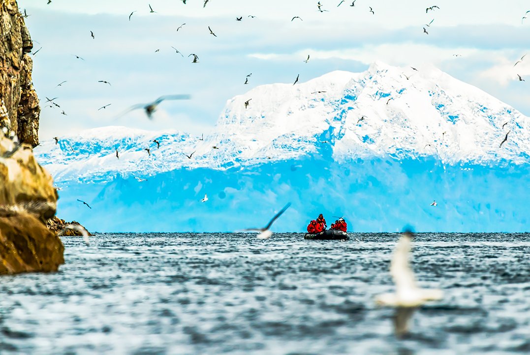 senajourney's tweet photo. Arctic Birds
.
.
.
.
#zodiactour #arcticbirds #wildlife #birds #birdsofinstagram #allinthejourney #imatraveler #traveladdict #travelholic #travelgram #travelwithme #arctic #svalbard #gadventures #gexpedition #expedition https://t.co/xU85Mm4wD2