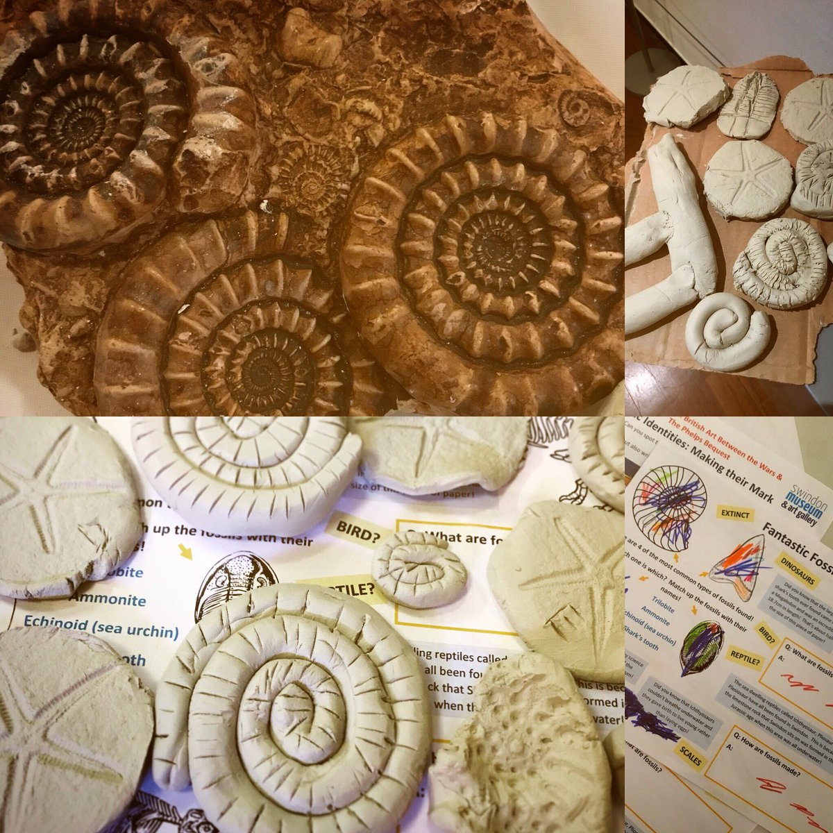 MuseumandArt's tweet image. Thank you to everyone that came along to our #FantasticFossils #summerworkshop today!  Don’t forget that we have 2 more drop-in #workshops coming up this month - the next one is on Wednesday 15 August! #museumassistantmoment #fossils #familyfun #summerholidays