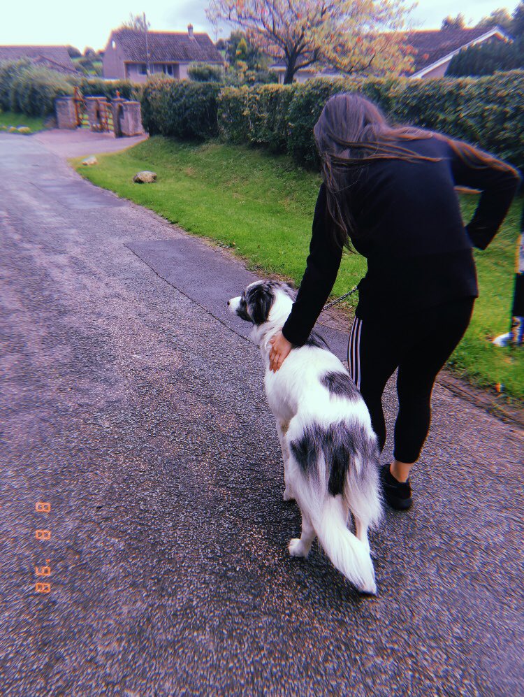 Chlo_Lou9's tweet photo. 🖤🖤🖤 https://t.co/cDDbZ2U0Ut