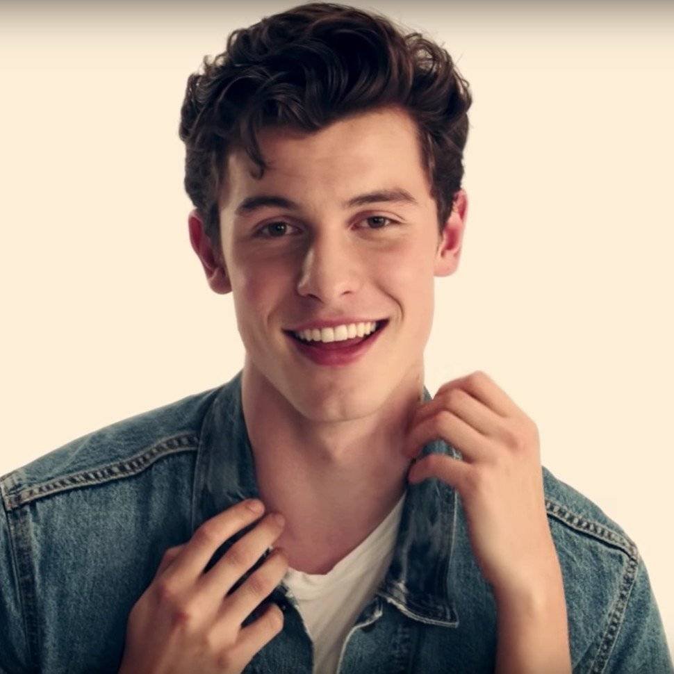 Happy Birthday, Shawn Mendes!  