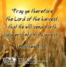 GetinetDaniel's tweet image. let us pray missional prayer!!! Ethiopian evangelical church mekane yesus International mission society.