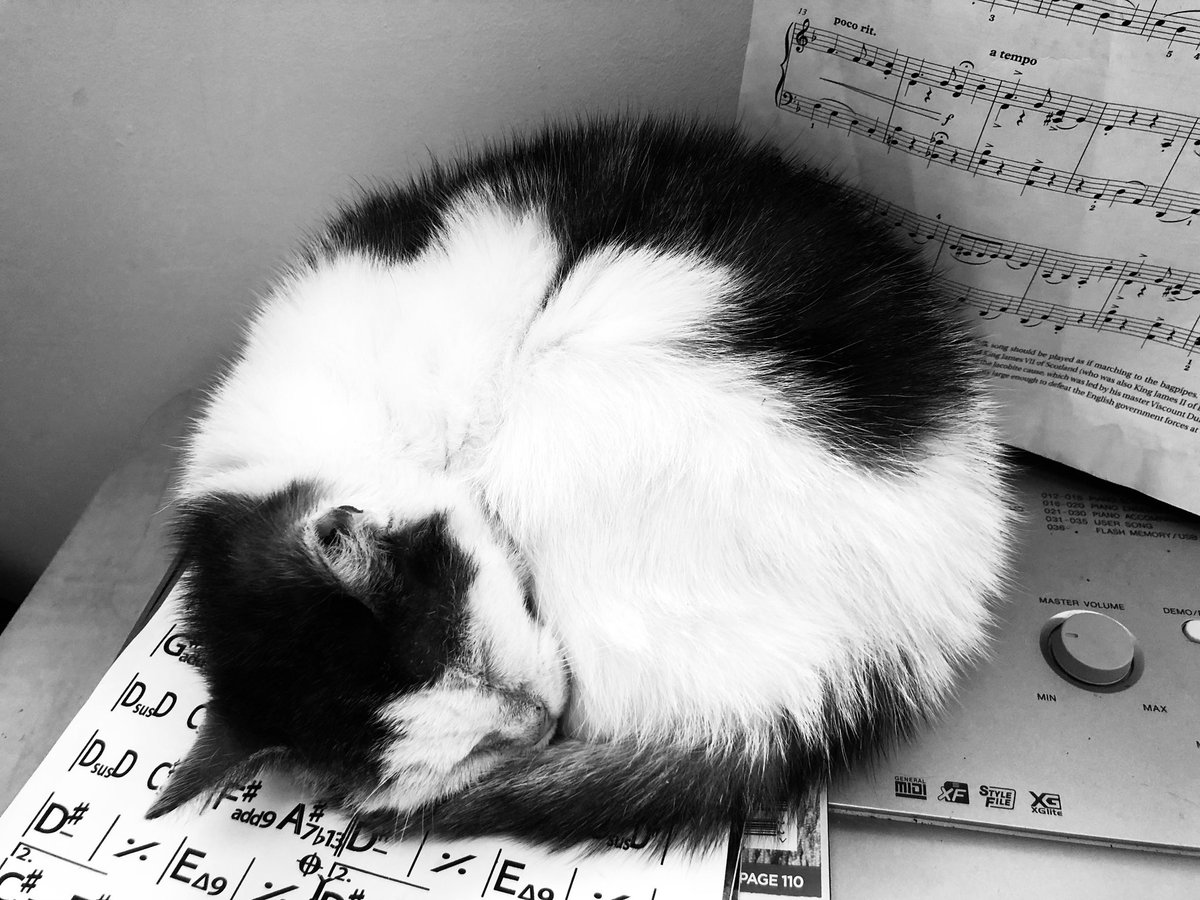 jackieschneider's tweet image. Hi @NEUnion - as a teacher who is parliamentary candidate for @WimbledonLabour I spent today meeting fellow trade unionist @DaveWardGS from @CWUnews but #InternationalCatDay didn’t come up. #HashtagAbuse