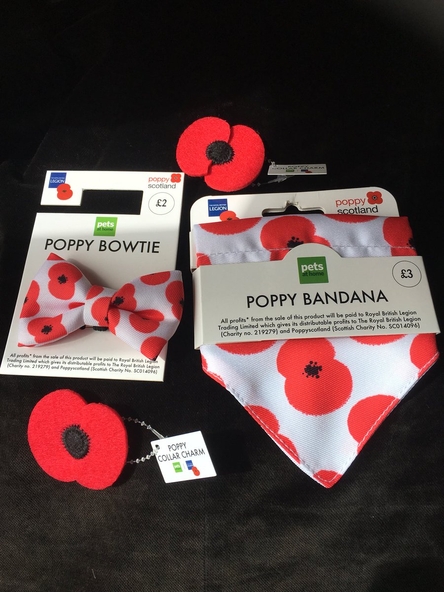 We have got our Poppy Appeal bandana and bow tie today from @petsathomeuk all profits go to the Royal British Legion #poppyappeal #royalbritishlegion #dogphotography #famousdogs #pugpuppy #carlino #pugbasement #pug #pugbasement #puglife #petsafe#mopsinternational #MyPetLoves