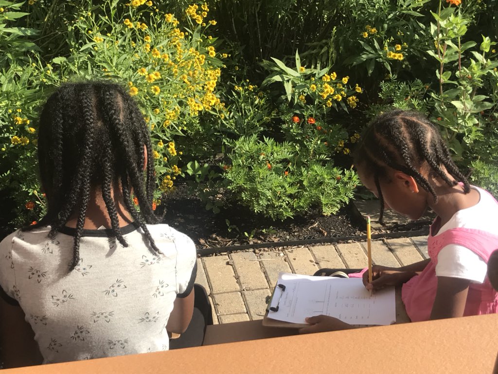APSDrewReading's tweet photo. Observing pollinators during #ysia2018! We love learning about the pollination system! 🐝🌸 @APSDrew @APSGifted @apsyoungscholar https://t.co/UILAvkAUS8
