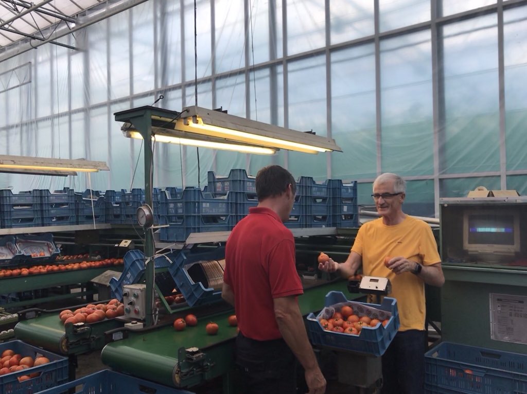 GeertBourgeois's tweet photo. Op @Boerenbond-zomerstage bij innovatief tuinbouwbedrijf #Tomabel. Leerrijke dag over een Vlaams topkwaliteitsproduct gesmaakt in binnen- en buitenland: de Vlaamse tomaat. Dank aan landbouwers en ondernemers Henk & Marie-Rose Vandevelde om hun passie te delen. #GekOpTomaat https://t.co/9pdmkNsdHc
