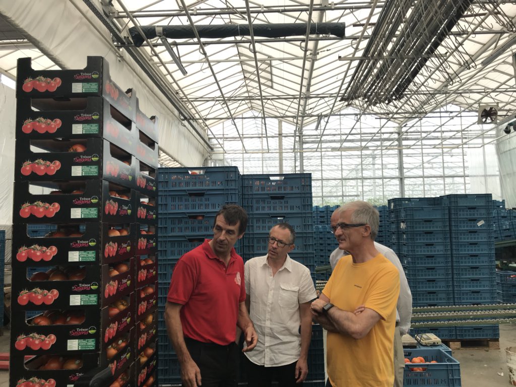 GeertBourgeois's tweet photo. Op @Boerenbond-zomerstage bij innovatief tuinbouwbedrijf #Tomabel. Leerrijke dag over een Vlaams topkwaliteitsproduct gesmaakt in binnen- en buitenland: de Vlaamse tomaat. Dank aan landbouwers en ondernemers Henk & Marie-Rose Vandevelde om hun passie te delen. #GekOpTomaat https://t.co/9pdmkNsdHc
