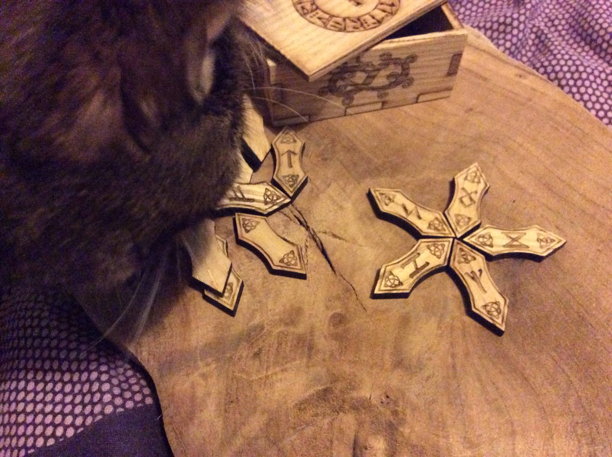 EssexCunning's tweet photo. Rune casting for #InternationalCatDay, dragon teeth rune cat #NotHerName 😎 https://t.co/dMgA4a3b2S