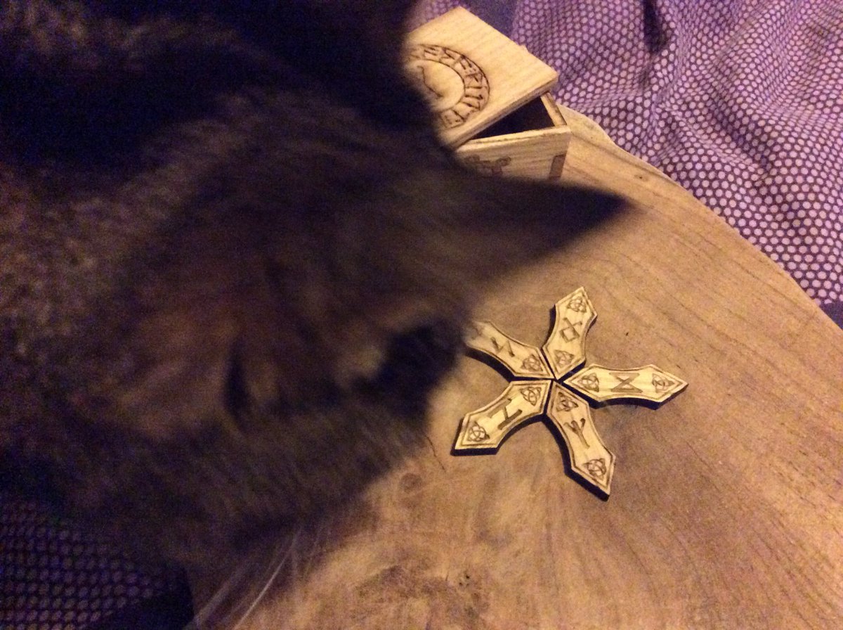 EssexCunning's tweet photo. Rune casting for #InternationalCatDay, dragon teeth rune cat #NotHerName 😎 https://t.co/dMgA4a3b2S