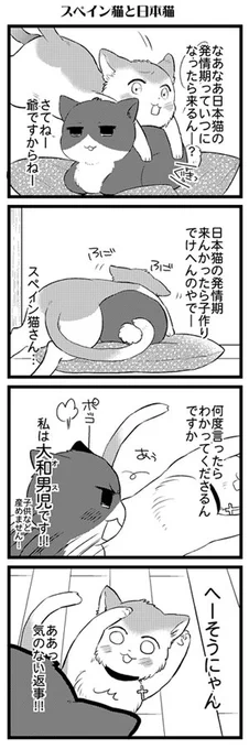 猫の日だそうなので、昔に描いた太陽一家なねこたりあ(*⌒▽⌒*) 