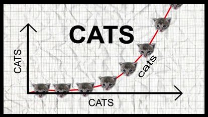 GravityThinking's tweet photo. Online #cats are talked about twice more than @Nike &amp; 14x more than @Samsung - we always remember cat videos are a brands competition. Happy #InternationalCatDay https://t.co/Jcl8uo2Vbf
