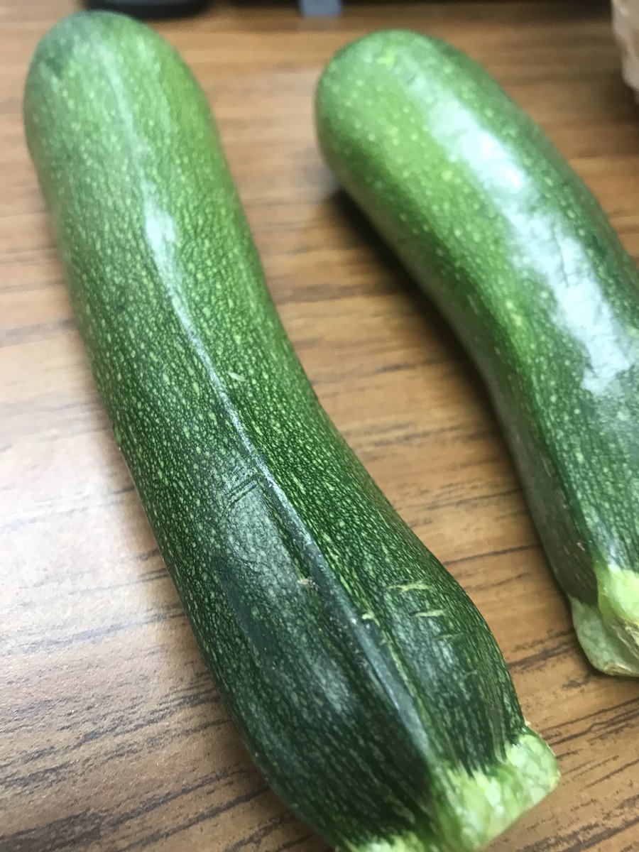 TanyaRiveraOn2's tweet photo. Did you know it’s national sneak a #zucchini on your neighbor’s porch day? 👀 #freals https://t.co/qWWkjuXuEu