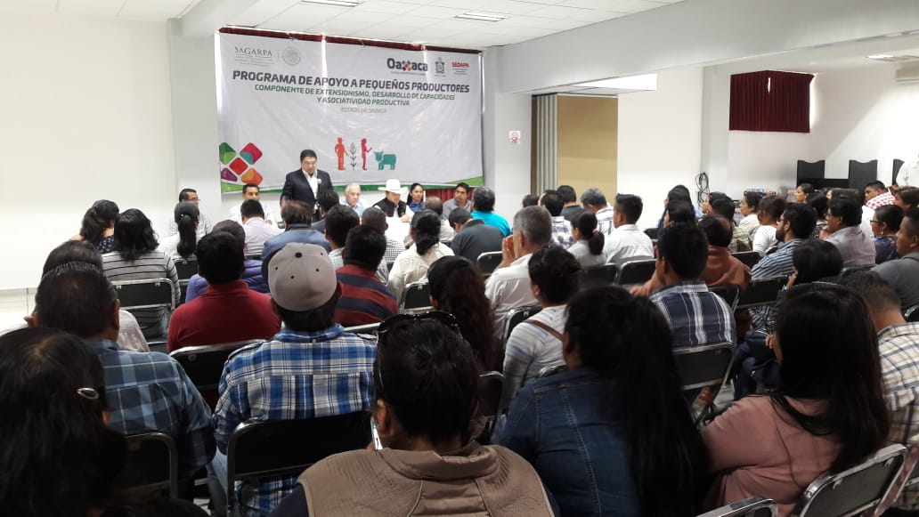 RigobertoGomez_'s tweet photo. Ayer @SAGARPA_Oax en coord con @Sedapa_GobOax compartimos a 280 extensionistas y 8 coordinadores el enfoque normativo, metodológico, administrativo y operativo del componente #Extensionismo2018 @AdolfoToledo_ @Elieter3 https://t.co/TNSkgHVNin