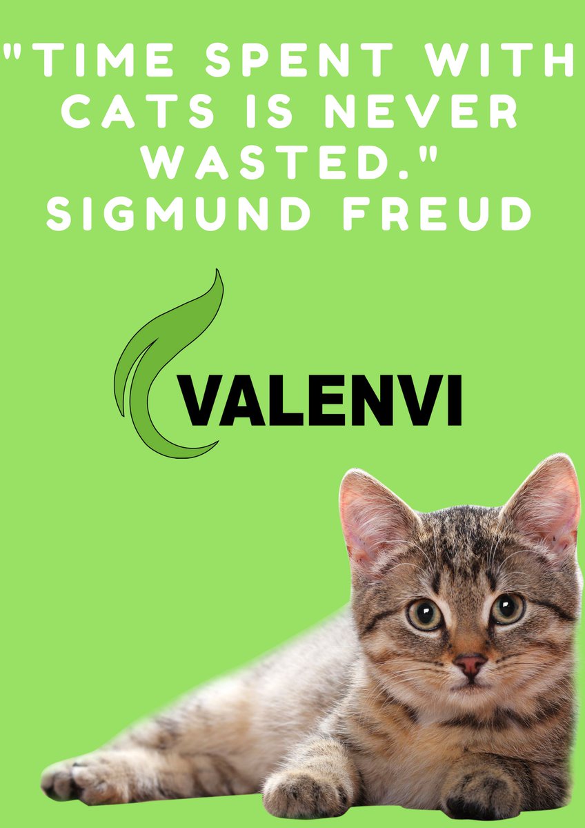 ValenviRecycle's tweet photo. “Cats choose us; we don’t own them.” Kristin Cast
#journeeinternationaleduchat #WednesdayWisdom
#CatPeople 
 #InternationalCatDay https://t.co/8jb8OWJhgG