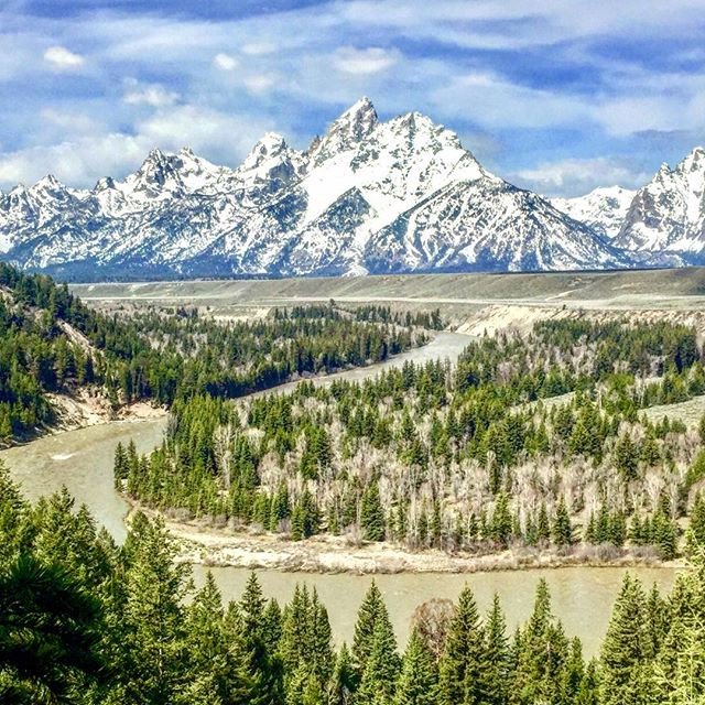Biotech_Guru's tweet photo. Reposting @bradbrandon: - via @Crowdfire 
⛰Grand Teton National Park🏔 I climbed 40ft in a tree for this view &amp; it was totally worth it!! 😆 #PraiseJESUS 🙌
.
.
.
.
#grandteton #nationalpark #park #travel #explore #climbatree #wyoming #teton #photography #river #mountain #tree https://t.co/s67Q33nQzP