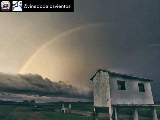 tedward_ws's tweet photo. Storm rolls in under the rainbow at @vinedodelosvientos .
.
.
#uruguay #vineyard #shed #storm #winds #atlantida #tannat #nebbiolo #arneis https://t.co/8OmBBdanRU https://t.co/TNj0FZGRdc