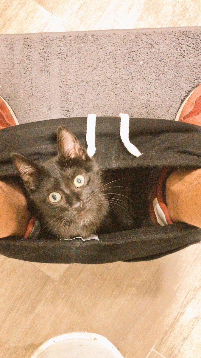 Dennis Coello tweet media