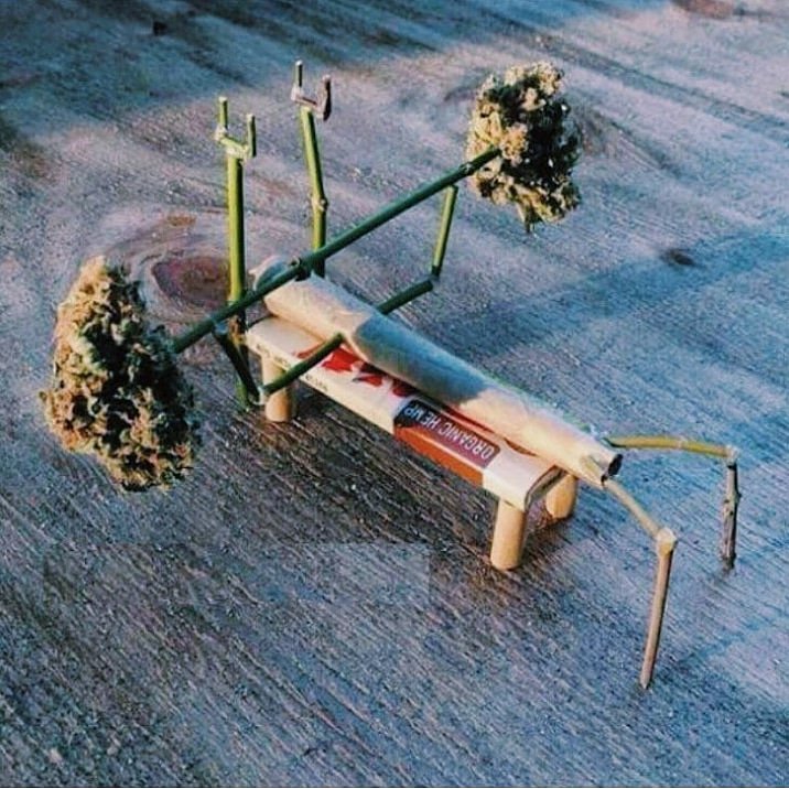 Wonderf90639106's tweet photo. Start to my day #gym #exercise #healthy #wakenbake #cannabis #StonerFam #cbd #cbdoil #cbdhemp #cbdhempoil #cbdcures #cbdcuresall #cbdgummies #cbdvape #cbdisolate #cbdisforme #cbdsaveslives #mmj #iamcannabis #istayhigh #weedstagram #ganja #hightimes #medicate #MedicalMarijuana https://t.co/5Mmxvi98TQ