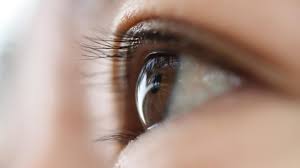 2019Eye's tweet image. Can omega-3 fatty acids alleviate dry eye disease symptoms?????update your knowledge@Eye and Vision 2019 on 6-7 June 2019 at London,UK.
#BehavioralOptometry #BinocularVision #CataractandRefractiveSurgery #AnimalModelsOfOcularDisease