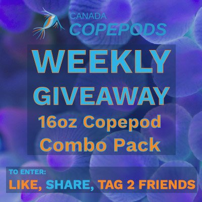 Like, Share, and Tag 2 Friends for your chance to win a 16oz Copepod Combo Pack ($60 value)!
Be sure to check out our Summer Seed Pack Sale: 25% OFF All Seed Packs with coupon code SEEDMYTANK
BONUS ENTRY: Share a picture of your reef tank in the comments!