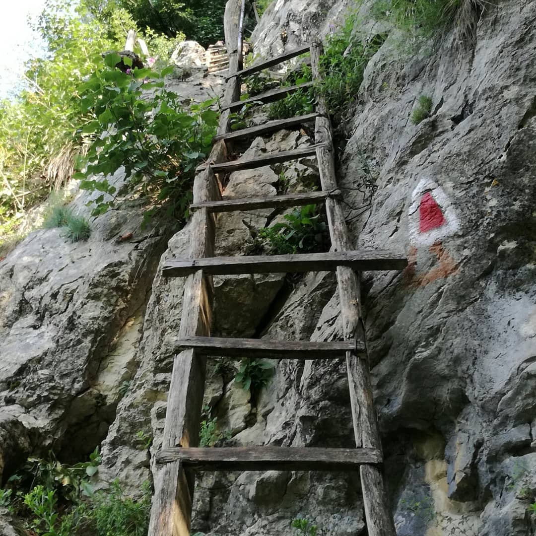 UncoverRomania's tweet photo. Stairway to the heaven of #inelet, #Romania https://t.co/8uMMgw8T4H