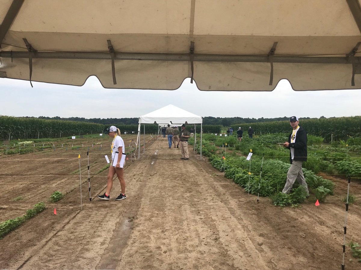 SWSS Weed contest.. Dr Stapleton an his crew did an awesome job with the herbicide symptomogy event