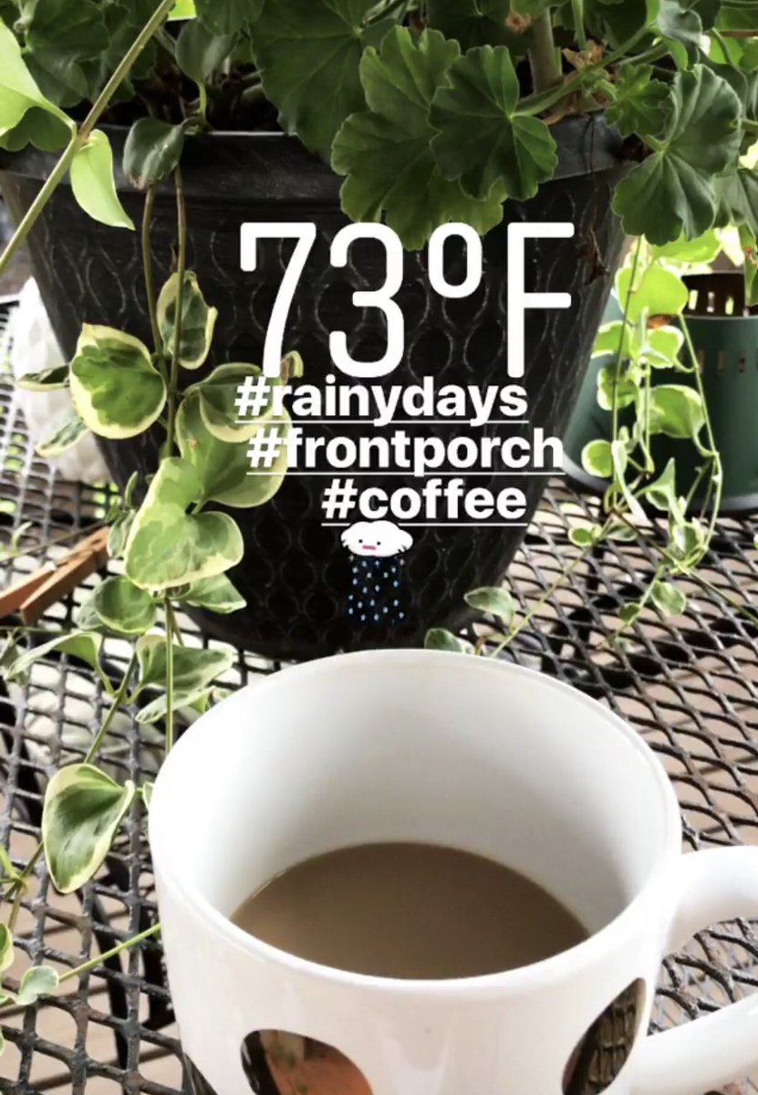 Racehorsegirl92's tweet photo. Starting to feel the crisp in the air! 🎃🍁😱💖☕️🧙🏻♀️🦉 #rainydays #enjoyingtheoutdoors #coolweather #frontporch #coffeeoutside #morningvibes #fallisonitsway https://t.co/jvbMOff04i