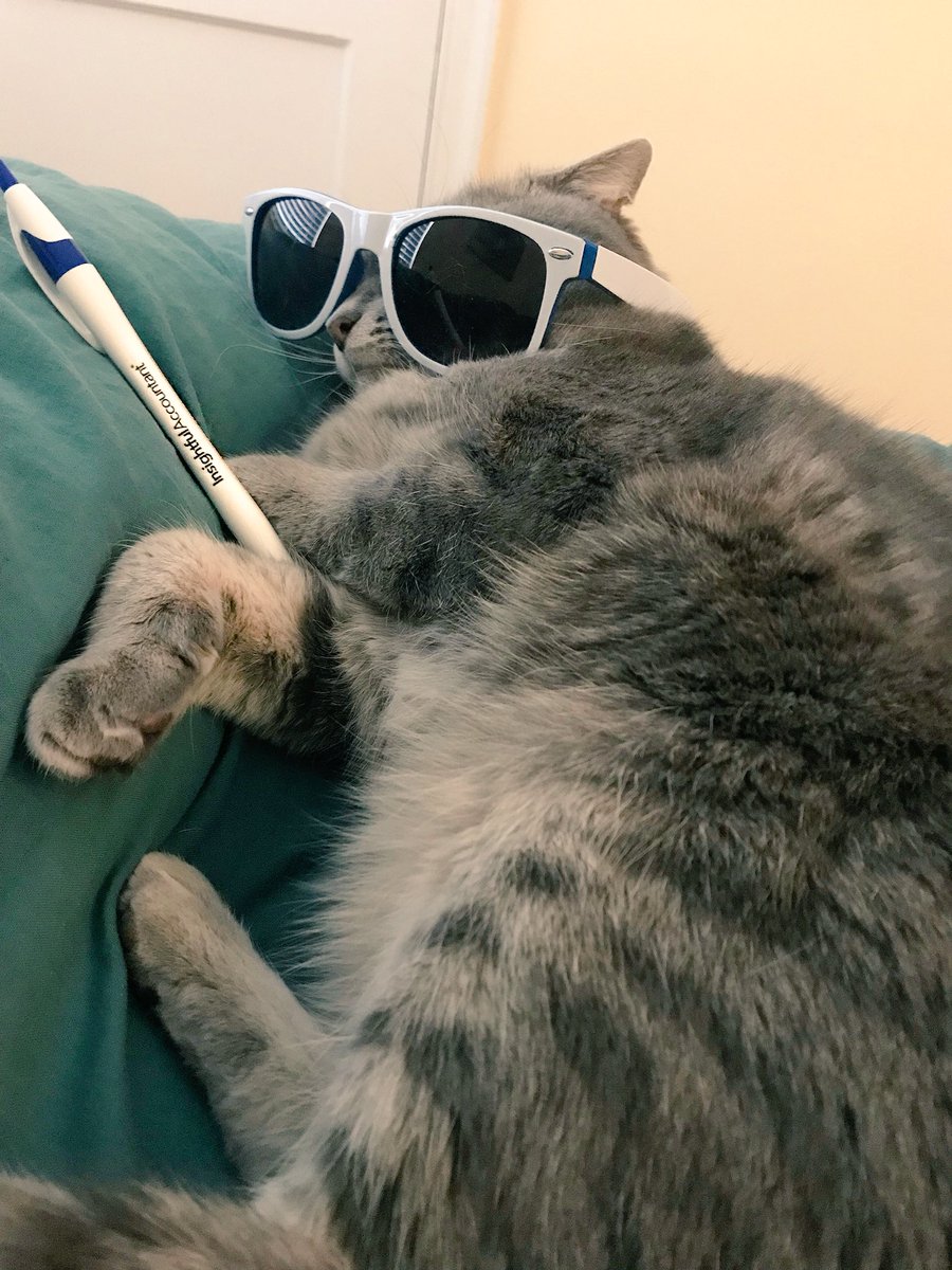 Insightful Accountant tweet media