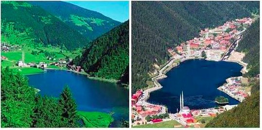 Uzungöl'ün eski ve yeni hali.

Bir ağaç, tüm siyasilerden daha faydalı dünyaya.