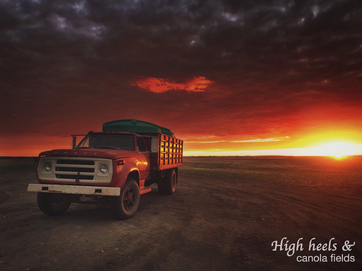 lesleyraekelly's tweet image. I ❤️ pics. Summer is half gone and I want to see your most favourite summer pics so far. 

Here’s a few of mine. 

Please share ☺️ 
#agtwitter #summer #plant18 #harvest18