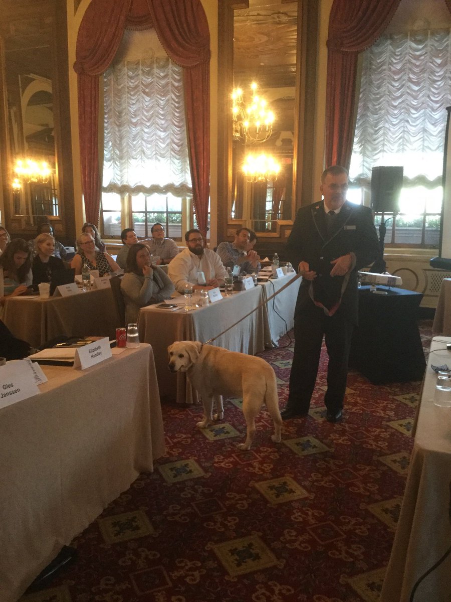 TiffanyUlbing's tweet photo. Global benefits education with a side of fun! @FairmontCopley resident dog Gracie visiting our class @IFEBP #IFGlobal https://t.co/PHL1bqQBtt