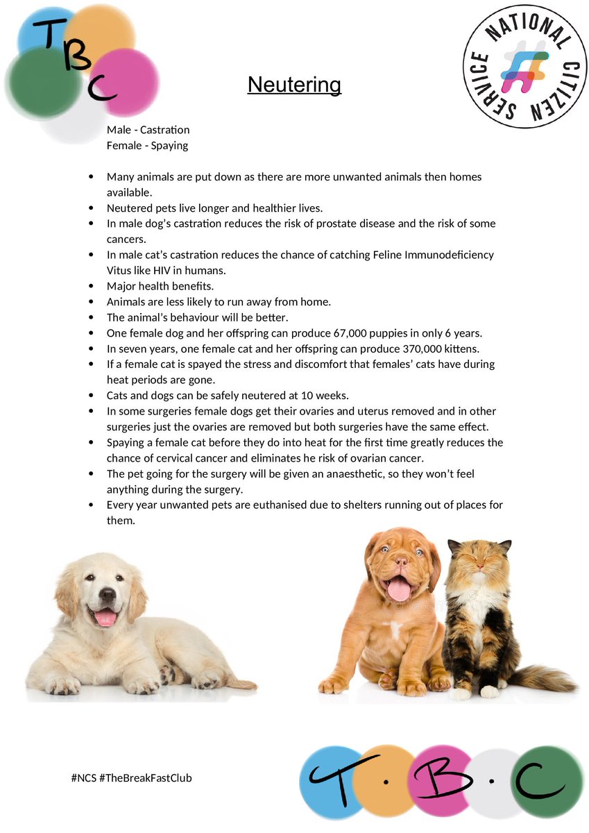 ncs_breakfast's tweet photo. We're from NCS Breakfast club and as apart of our social action we are raising awareness about neutering with your pets. This is a fact sheet to help! #5postsforpets #ncs4pets #mediamegameltdown #NCS @NCS @inspiraforlife @InspiraCarlyR https://t.co/FbTqwCMSeH