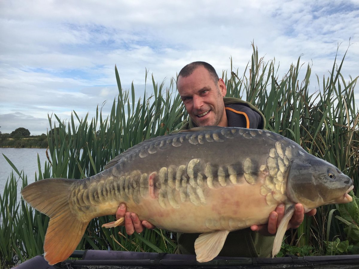 soniksports's tweet photo. 2 day session for Mark Skelley with 4 out, biggest was 31lb 7oz mirror. #VADERX Rods and Reels giving a five star performance on the bank. #Whatafish #Catchofthemonth #Submityours #Inittowinit
Send your catch pics to: media@soniksports.com https://t.co/cwXa93Iuv9