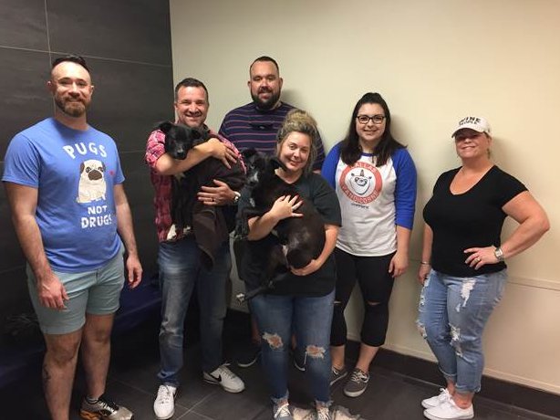 RadancyCo's tweet photo. Our Dallas office volunteered at the SPCA of Texas last week, where the group had a great time helping to organize its free food animal outreach program! #showTMP #TMPheart #volunteeringrocks https://t.co/txyya75JW7