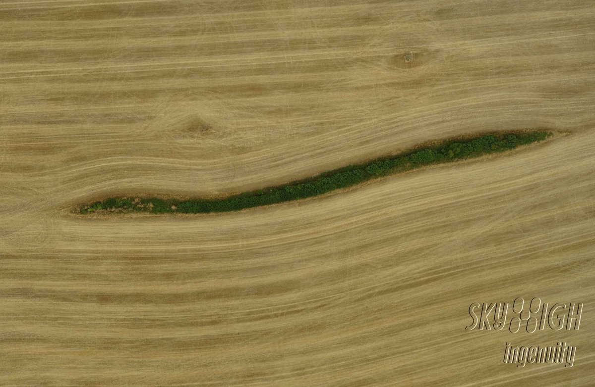 Part of an #orthomosaic taken with one of our @aeryonlabs #SkyRangers.  It demonstrates very clearly that this #farmer has created and maintains wildlife refuges.