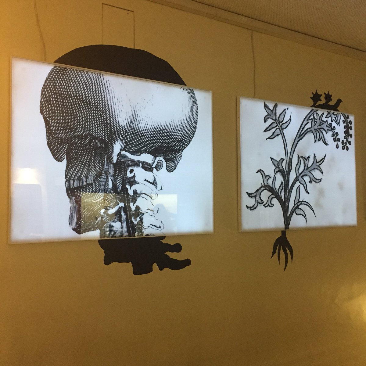 UCLSpecColl's tweet photo. Letβs try again with pictures... We love the way some of our illustrations have been included in the @UCLarchaeology exhibition #defyingdeath - any guesses which book each of these is from? https://t.co/85UeK2Ma3A