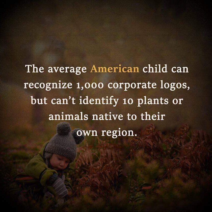 CubScoutPack964's tweet photo. Phew! Good thing that #Scouts aren't in that demographic. Appreciation & respect towards nature is something we enjoy doing in scouts. Learning about native plants & animals within our back yard, this is where we start. #KidsUnplugged #OffGridKids #OutdoorSkills https://t.co/WoTIZYPQW3