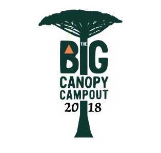 Harken_SandR's tweet photo. Harken Industrial Provides PowerSeat to support @CanopyCamp 2018. Find out more about this amazing cause and how our equipment will be used to climb the rainforest trees. https://t.co/ef43h4FO9J  #HarkenIndustrial #WorkAtHeight #BigCanopyCampout #Safety #BorneoRainforest https://t.co/0Is96UUxiO