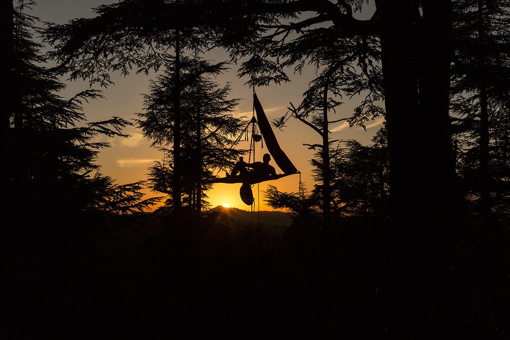Harken_SandR's tweet photo. Harken Industrial Provides PowerSeat to support @CanopyCamp 2018. Find out more about this amazing cause and how our equipment will be used to climb the rainforest trees. https://t.co/ef43h4FO9J  #HarkenIndustrial #WorkAtHeight #BigCanopyCampout #Safety #BorneoRainforest https://t.co/0Is96UUxiO