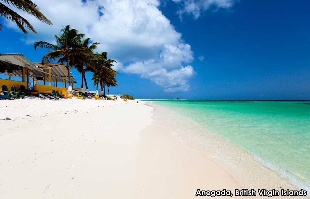 CruiseWithDerek's tweet photo. Who needs a beach day?

#bvi #anegada #britishvirginislands #thesettlement #beach #palms #carribean #relax #explore #travel #cruise #wanderlust #cruiseplannersco https://t.co/XSiSXBC5xe