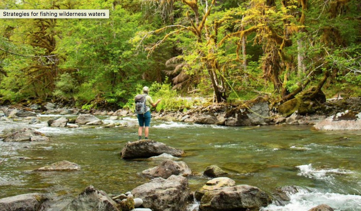 Strategies for fishing wilderness waters <a href="/OspreyPacks/">Osprey Packs</a> <a href="/patagonia/">Patagonia</a> <a href="/LEKIUSA/">LEKI USA</a> @Salewa <a href="/kokopelliraftco/">Kokopelli Packraft</a> <a href="/RedingtonGear/">Redington</a> bit.ly/2MxgmNx #FlyFishing