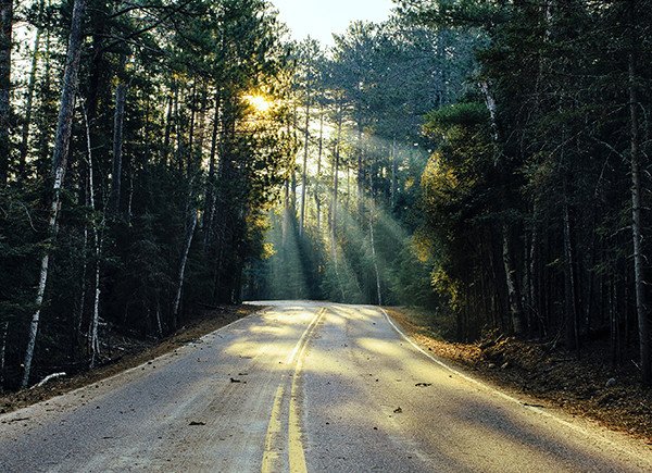 8 satisfying snacks that will ensure a healthy road trip bit.ly/2JRxeMS #roadtrip #nutrition #snacks #wellnessblog