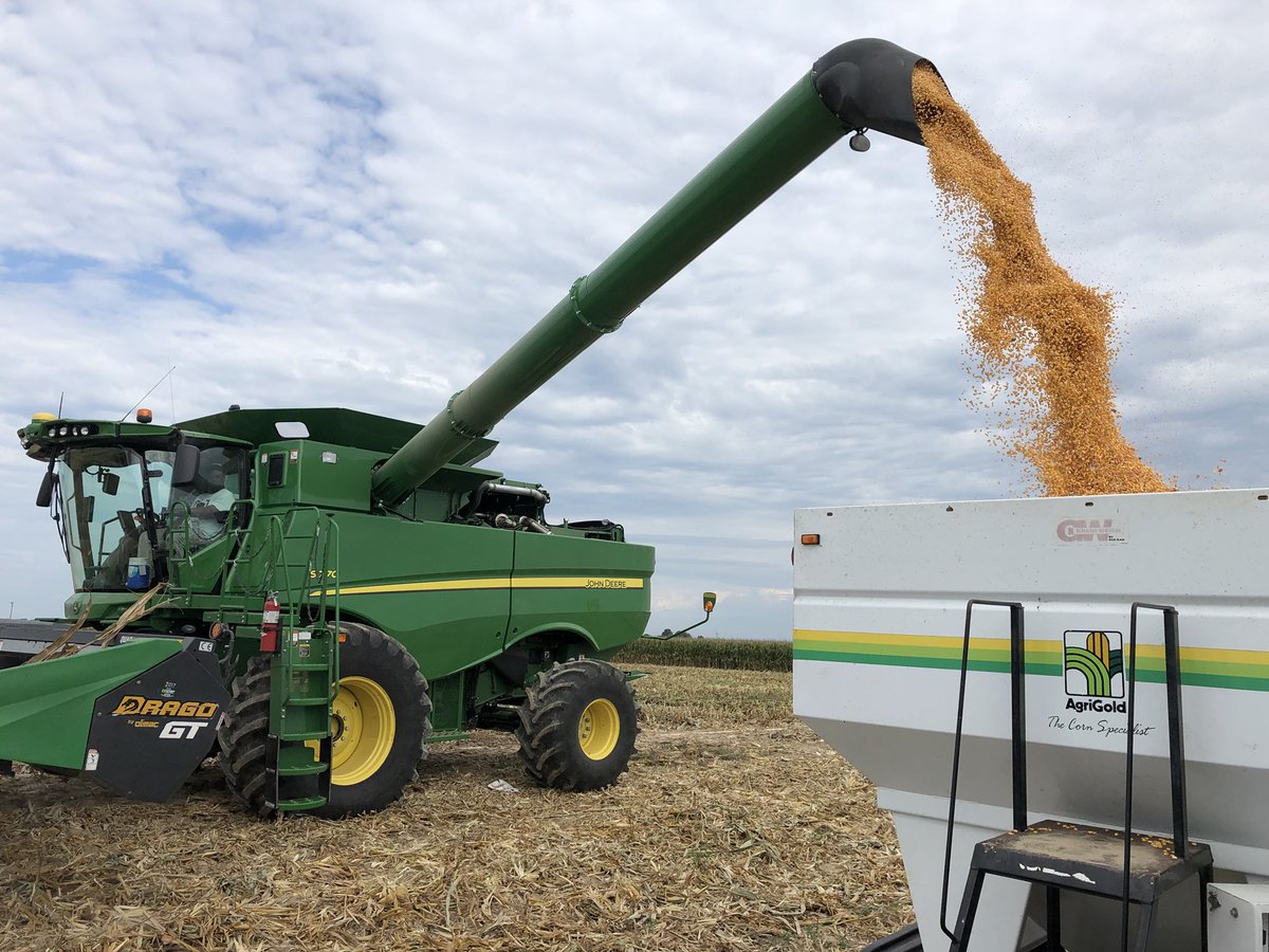 High moisture corn is being shelled in Mississippi. @RyanEmbrey @ted081997 @jrmayerfarms #beboldgogold